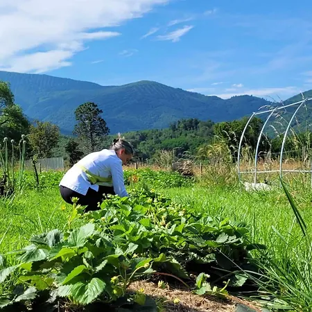 Hotel Le Clos Cathala D'hotes