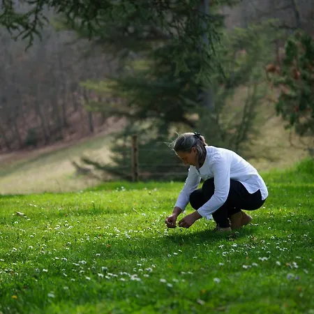 Le Clos Cathala D'hotes Hotel Saint-Paul-de-Jarrat