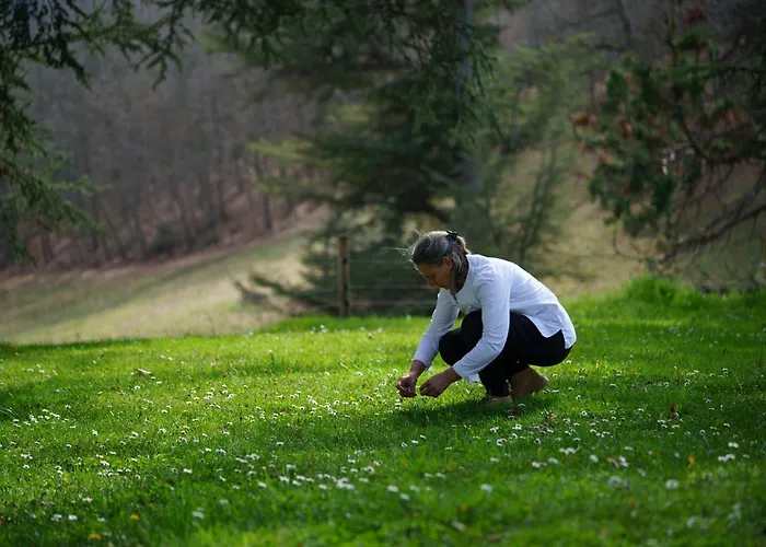 Le Clos Cathala D'hôtes Hotel Saint-Paul-de-Jarrat