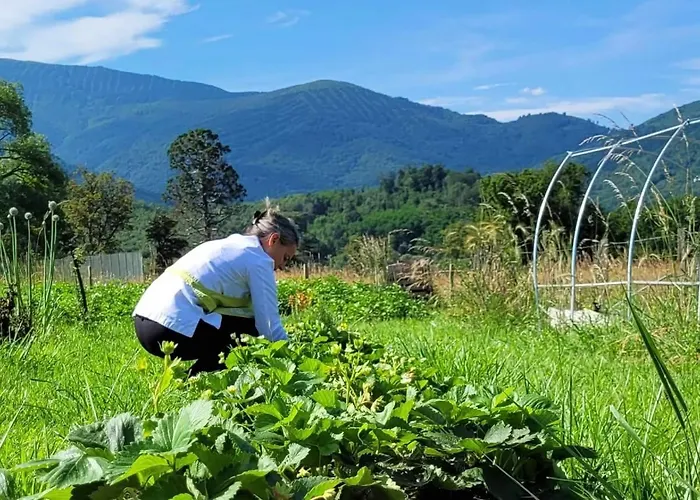 Hotel Le Clos Cathala D'hôtes